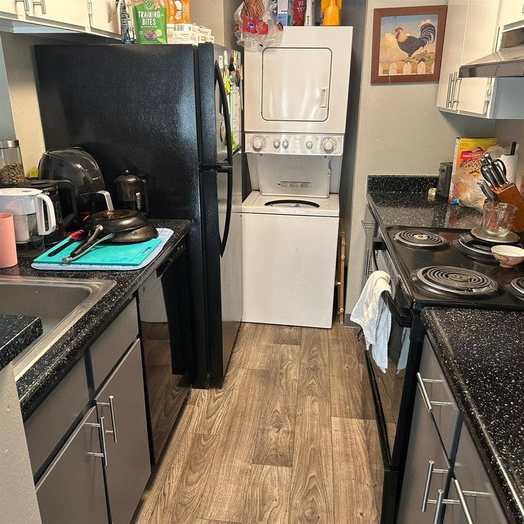 Looking for animal loving roommate!