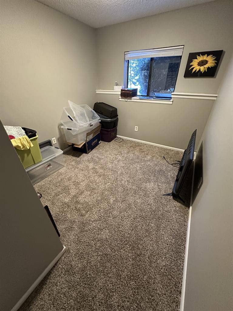 Looking for animal loving roommate!