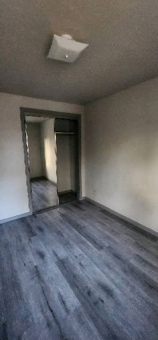 Room +  for rent $/mo