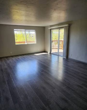 Room +  for rent $/mo