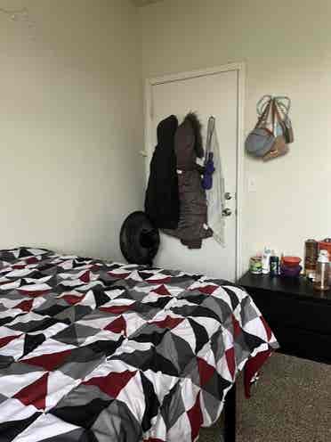 Looking to sublease from Jan 2025