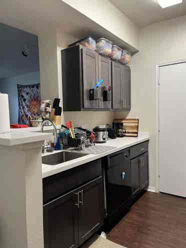 Looking to sublease from Jan 2025