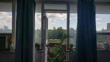 Pristine room facing the park