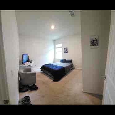 looking for a roommate 