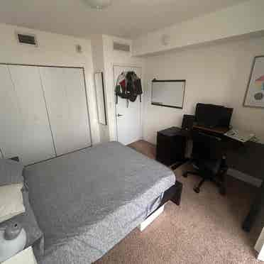 Room for rent in Edgewater