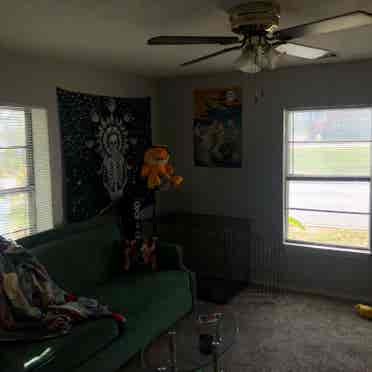 Room right 
off the square for rent