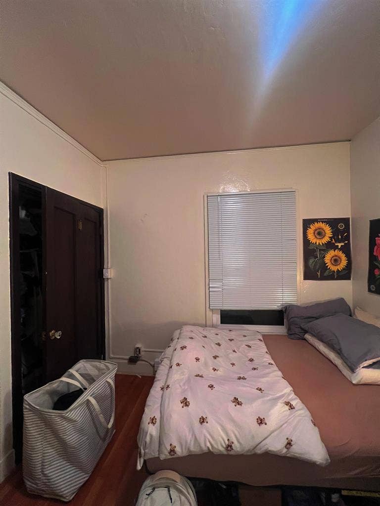 Master Bedroom Near UCBerkeley