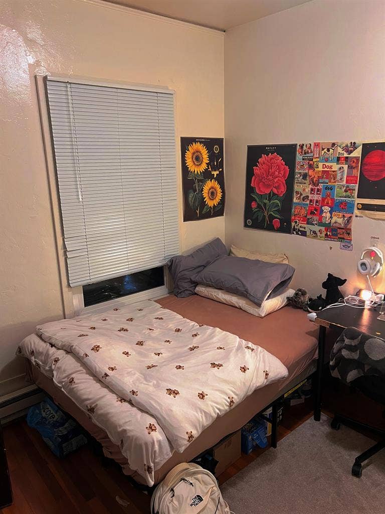 Master Bedroom Near UCBerkeley