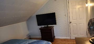 Looking for a professional roommate