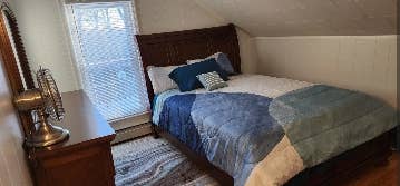 Looking for a professional roommate