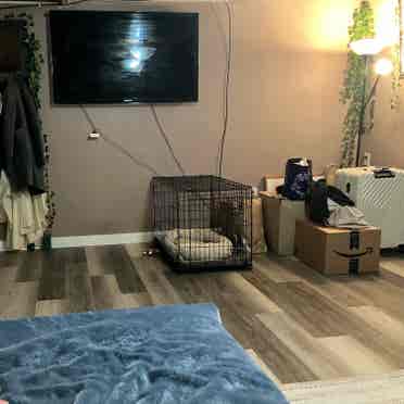 Available now! $ furnished room