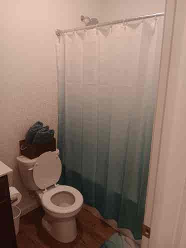 Looking for clean quiet roommate.