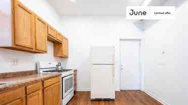 2 BR in Chicago