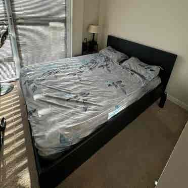 Spacious Double Room for Rent