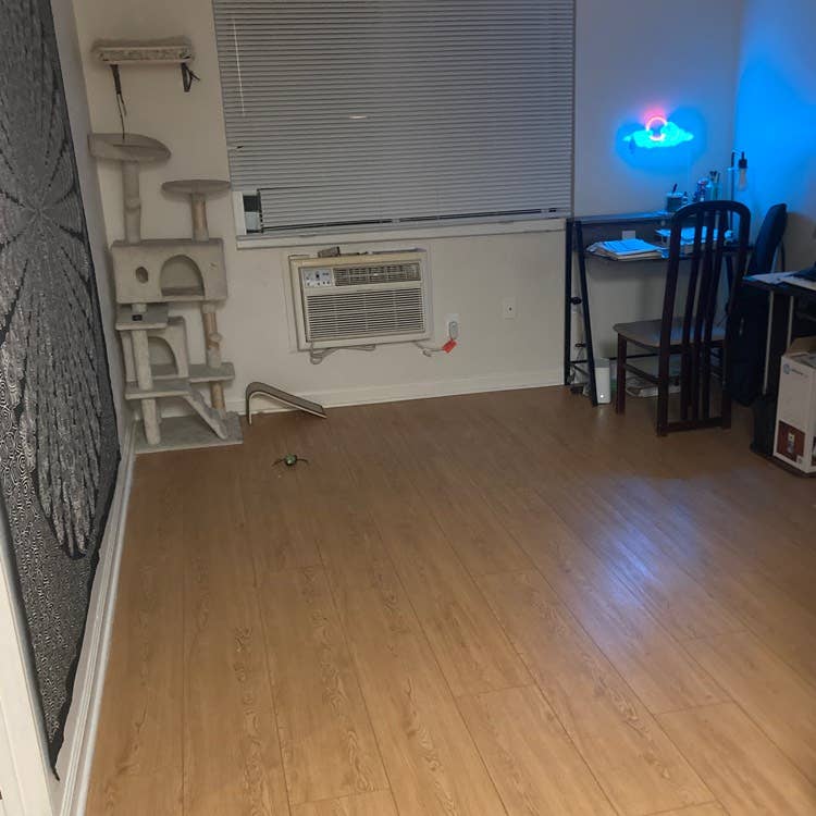 Looking for a roommate