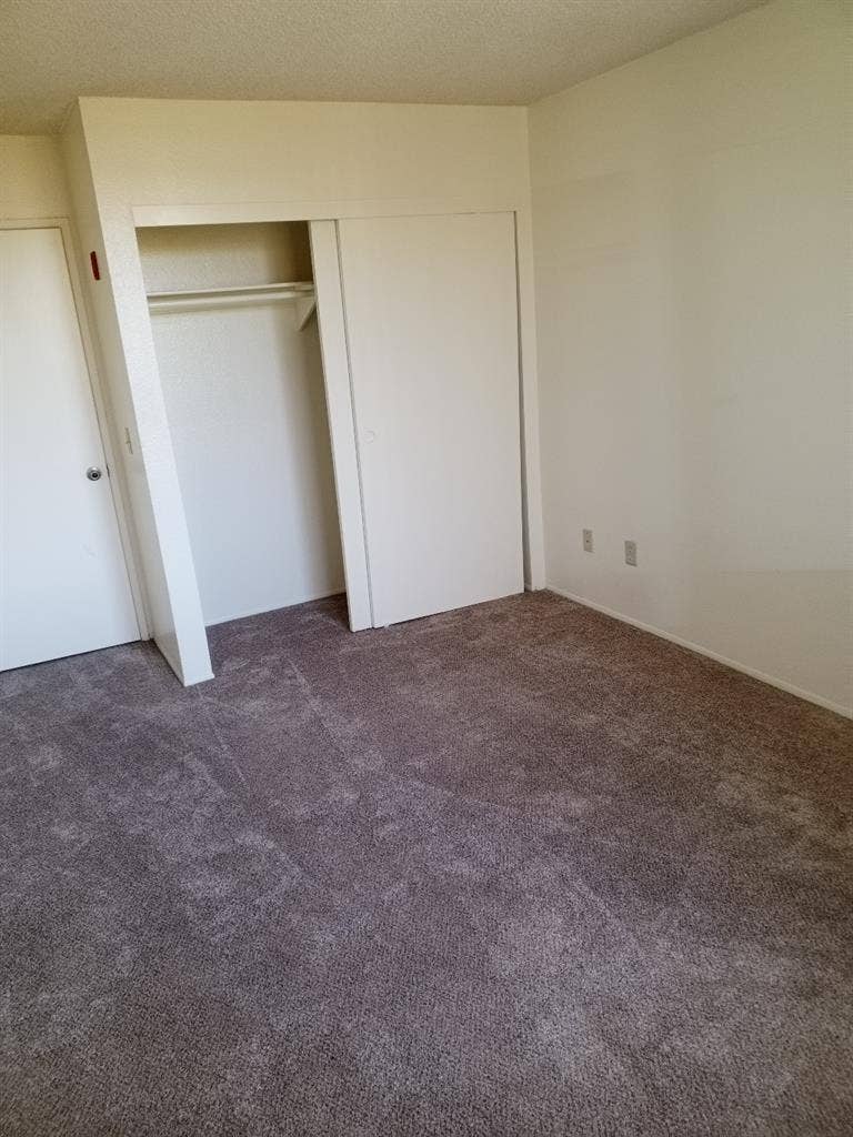 Roommate Wanted - Plaza Apartments