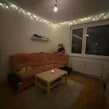 Looking for a girl flatmate Feb