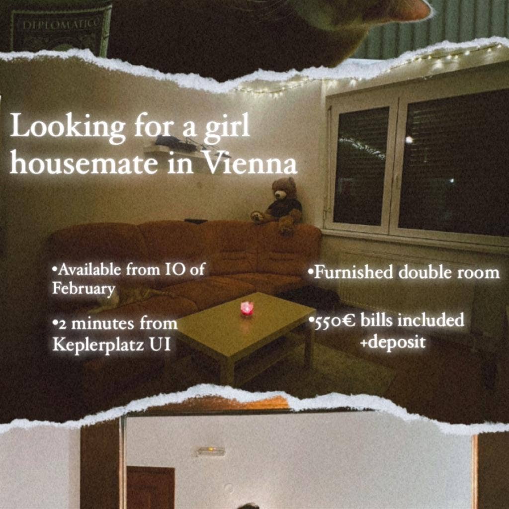 Looking for a girl flatmate Feb