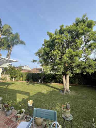 Gorgeous Home in Huntington Beach!