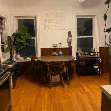 Cute apartment near in Davis square