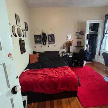 Cute apartment near in Davis square