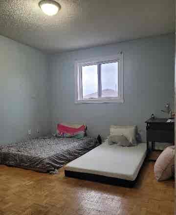 Mississauga looking for a roommates