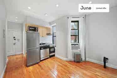 1 BR in New York City