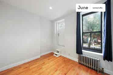 1 BR in New York City