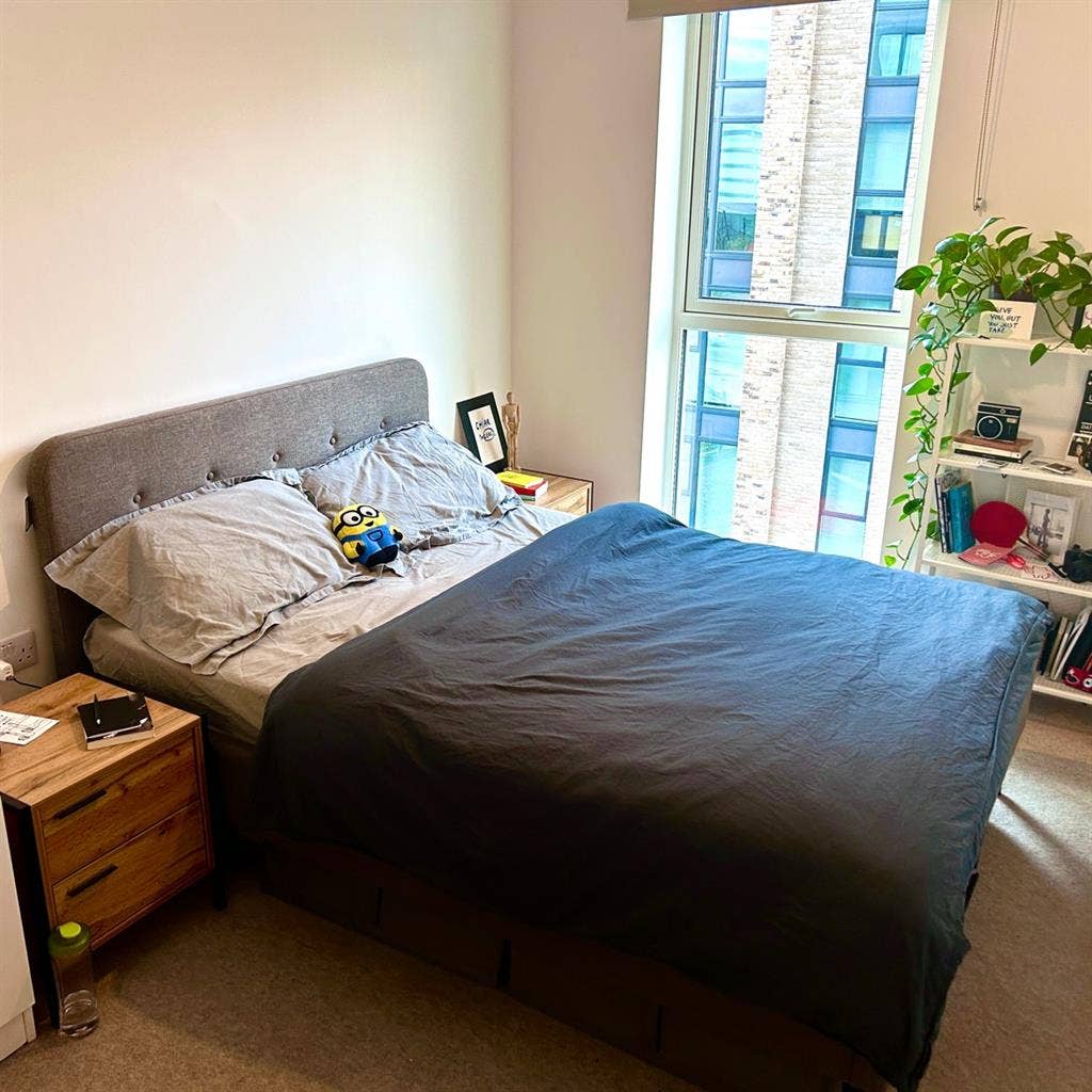 Double room in a 2 bedroom flat 