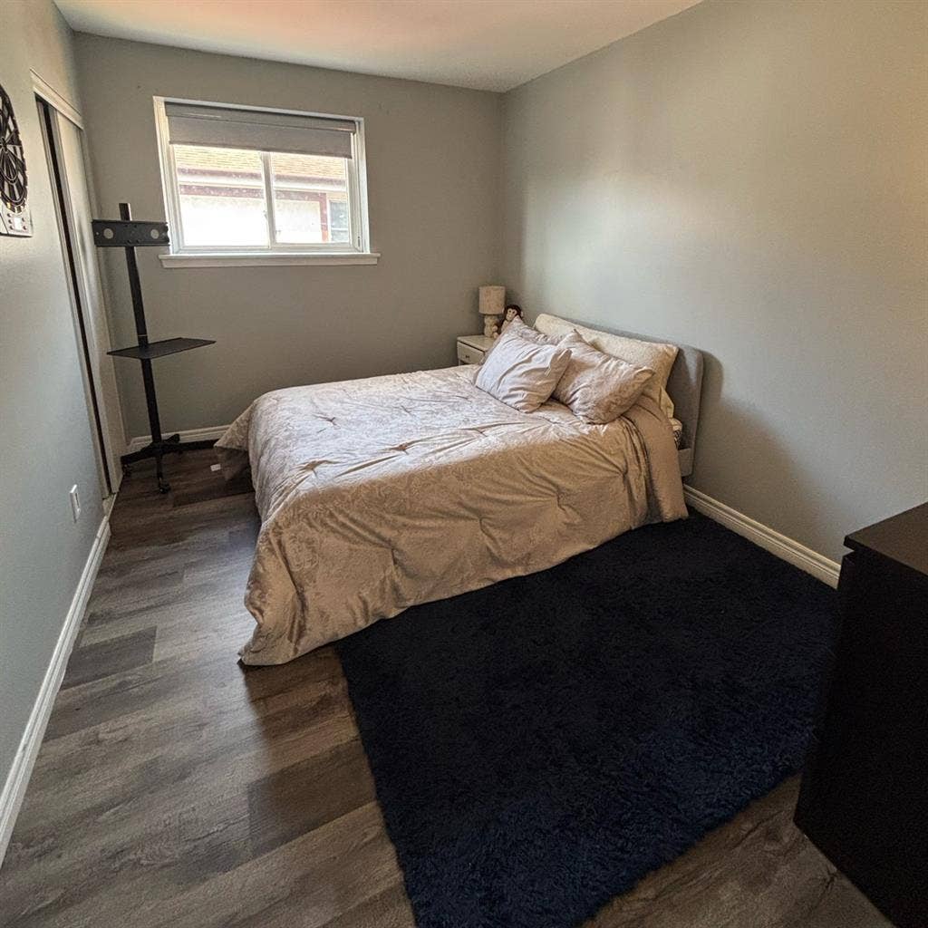 Room for rent in North Etobicoke 
