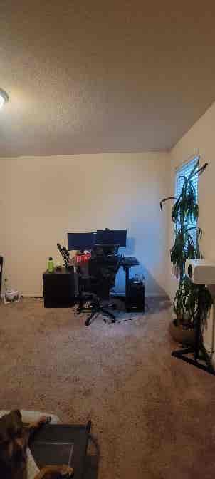 Large Room in South Austin availabl