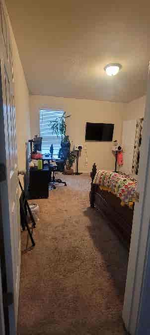 Large Room in South Austin availabl