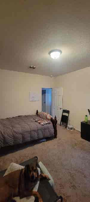 Large Room in South Austin availabl