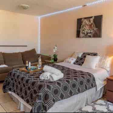 Nice-cozy Room in Hallandale