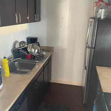 Roommate wanted in shared 2 bedroom