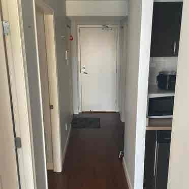 Roommate wanted in shared 2 bedroom