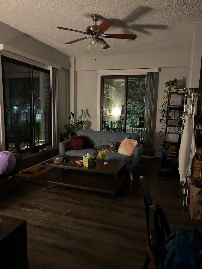 ISO ROOMATE in Uptown/Montrose