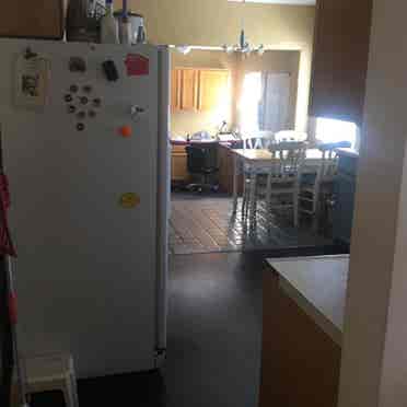 UNM/NobHill Room for Rent $