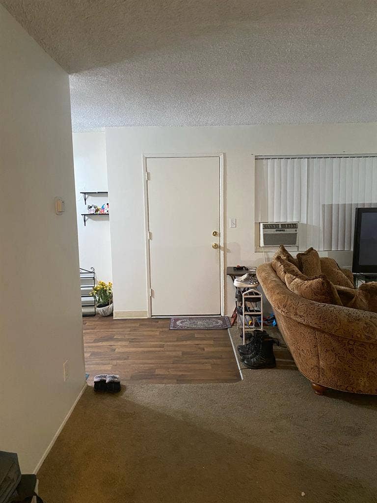 La Mesa Apartment, Roommate needed