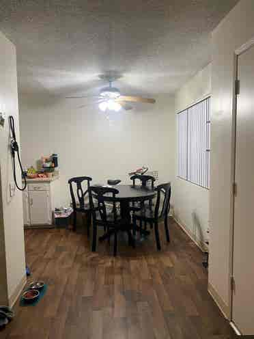 La Mesa Apartment, Roommate needed