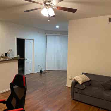 Roommate near
 Mayo Clinic Phoenix