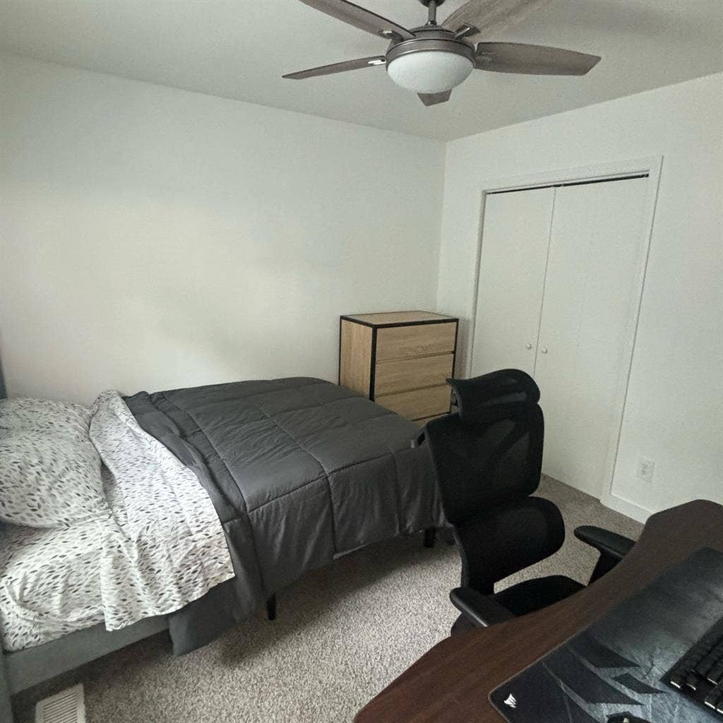 Looking for a Roommate