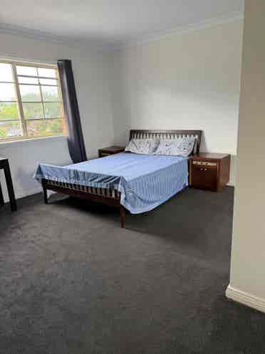 Marsfield single room for rent