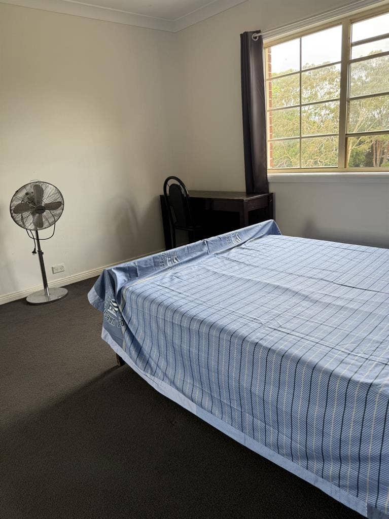 Marsfield single room for rent