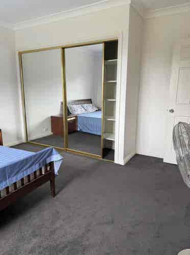 Marsfield single room for rent