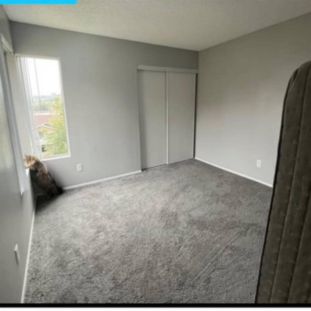 Spring valley room to rent