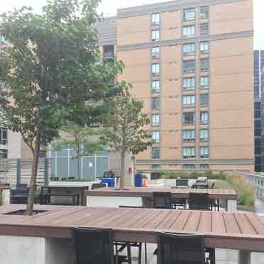 Bright Central 1BR Fem Only