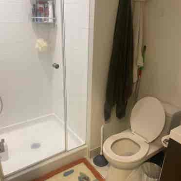 Bright Central 1BR Fem Only