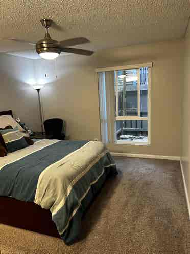 Large Furnished Bedroom Available