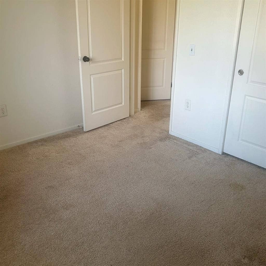 Looking for Roomate